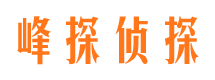 景洪市私家侦探